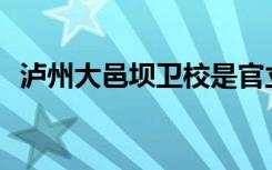 泸州大邑坝卫校是官立还是民办？可靠吗？