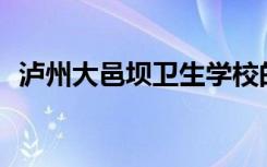 泸州大邑坝卫生学校的校风和环境怎么样？