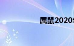 属鼠2020年男孩名字