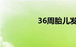 36周胎儿发育情况指数