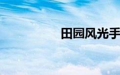 田园风光手抄报四年级