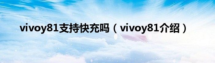 vivoy81支持快充嗎vivoy81介紹