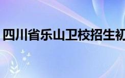 四川省乐山卫校招生初中毕业后可以学习吗？