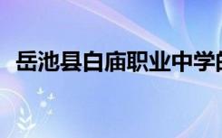 岳池县白庙职业中学的校风和环境怎么样？