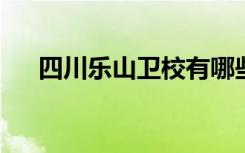 四川乐山卫校有哪些专业 哪个专业好？