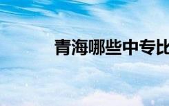 青海哪些中专比较好详细介绍？