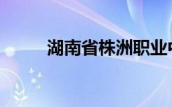 湖南省株洲职业中学有哪些专业？