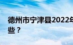 德州市宁津县2022年职业中专招生专业有哪些？