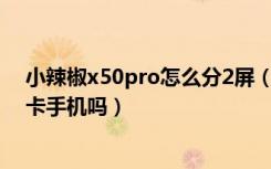 小辣椒x50pro怎么分2屏（小辣椒X5支持双卡双待吗是双卡手机吗）