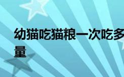 幼猫吃猫粮一次吃多少 幼猫吃猫粮一次吃的量