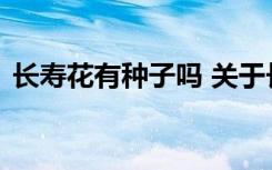 长寿花有种子吗 关于长寿花有没有种子介绍