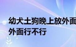 幼犬土狗晚上放外面可以吗 幼犬土狗晚上放外面行不行