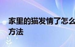 家里的猫发情了怎么办 家里的猫发情了解决方法