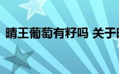 晴王葡萄有籽吗 关于晴王葡萄有没有籽介绍