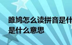 雎鸠怎么读拼音是什么雎鸠的意思 关关雎鸠是什么意思