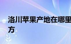 洛川苹果产地在哪里 洛川苹果产地在什么地方