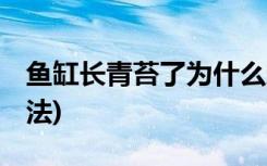 鱼缸长青苔了为什么还是死鱼 (防止死鱼的方法)