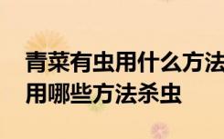 青菜有虫用什么方法可以杀虫 青菜有虫可以用哪些方法杀虫