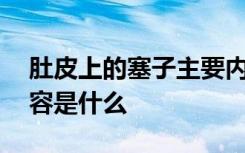 肚皮上的塞子主要内容 肚皮上的塞子主要内容是什么