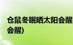 仓鼠冬眠晒太阳会醒吗 (仓鼠冬眠晒太阳会不会醒)