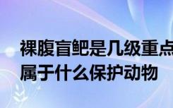 裸腹盲鲃是几级重点保护野生动物 裸腹盲鲃属于什么保护动物