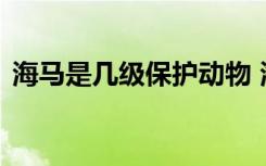 海马是几级保护动物 海马属于什么保护动物