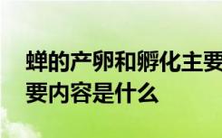 蝉的产卵和孵化主要内容 蝉的产卵和孵化主要内容是什么