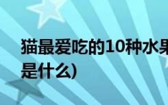 猫最爱吃的10种水果 (猫最爱吃的10种水果是什么)