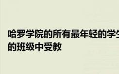 哈罗学院的所有最年轻的学生中 有近一半的人都在过度拥挤的班级中受教