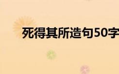 死得其所造句50字以上 死得其所造句