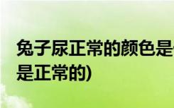 兔子尿正常的颜色是什么样的 (兔子尿怎样才是正常的)