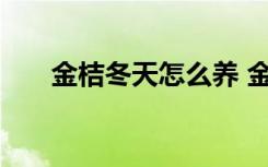 金桔冬天怎么养 金桔冬天的养殖方法