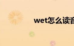 wet怎么读音 wet的意思