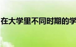 在大学里不同时期的学姐追求难度又是怎样的