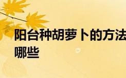 阳台种胡萝卜的方法 阳台种胡萝卜的方法有哪些