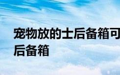 宠物放的士后备箱可以吗 宠物是否能放的士后备箱