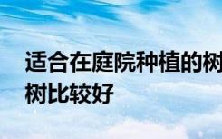 适合在庭院种植的树都有哪些 庭院里种什么树比较好