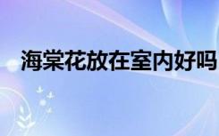 海棠花放在室内好吗 海棠花能放在室内吗