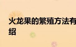 火龙果的繁殖方法有哪些 火龙果繁殖方法介绍