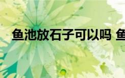 鱼池放石子可以吗 鱼池放石子有无问题呢