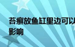 苔癣放鱼缸里边可以吗 苔癣放鱼缸里边有无影响