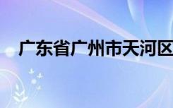 广东省广州市天河区体育东路小学怎么样