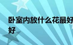 卧室内放什么花最好 卧室内放哪些什么花最好