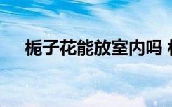 栀子花能放室内吗 栀子花可以放室内吗