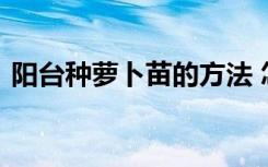 阳台种萝卜苗的方法 怎么在阳台养植萝卜苗