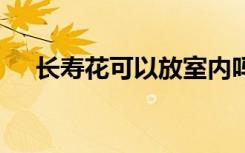 长寿花可以放室内吗 长寿花能放室内吗