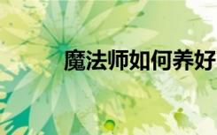 魔法师如何养好 魔法师怎么养好