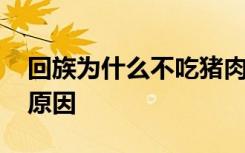 回族为什么不吃猪肉 回族人不吃猪肉的真正原因