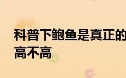 科普下鲍鱼是真正的鱼类吗 鲍鱼的营养价值高不高