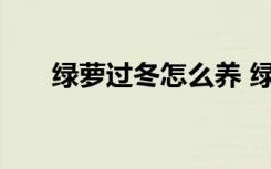 绿萝过冬怎么养 绿萝过冬的养殖方法